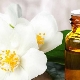 Jasmine essential oil - properties and tips for use