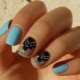 Manicure in blue and black colors: fashion ideas and design examples