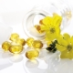 Evening primrose oil: healing properties, contraindications and instructions for use