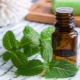 Menthol oil: properties and features of application