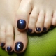 Fashionable pedicure: design features and design ideas