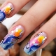 Stylish ideas for manicure with dolphins.
