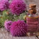 Properties and application of burdock oil