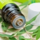 The intricacies of applying tea tree oil to nails