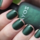 Green matte manicure: design features and a variety of styles