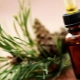 Pine essential oil: properties and methods of application