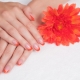Ideas for designing a French manicure in orange tones