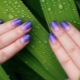 Interesting ideas for nail design with a gradient