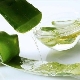 Aloe vera oil: properties and applications