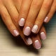 Features of French manicure with gel polish on short nails