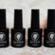 Features and a palette of shades of Queen gel polishes