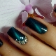 Features of the creation and design ideas of cat eye manicure