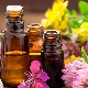 Varieties and methods of using essential oils