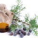 The properties of juniper oil and its application in cosmetology