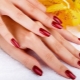 Design of long nails with shellac