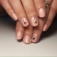 Manicure with a regular varnish: from design selection to creation