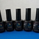 Features and colors of Bloom gel polish