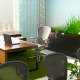 What should be the workplace of Feng Shui?