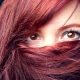Burgundy hair dye: for whom, the rules for dyeing