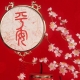 Talismans and Amulets of Feng Shui: Appointment, Tips for Choosing