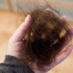 Hair falls out in bunches: causes and solutions