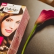 All About Palette Hair Colors