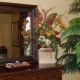 How to arrange the mirror in feng shui?