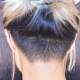 Women's haircuts with a shaved nape: what are and how to choose?