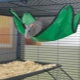 Hammock for rats: how to choose, do it yourself and arrange?