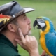 Talking Parrots: Species Description and Learning Tips