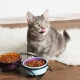What is cat food made of and what is the best composition?