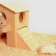 How and from what to make a house for a hamster with your own hands?