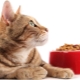 Classes of food for cats: differences and nuances of choice