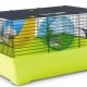 Cages for Dzhungar hamsters: what are and how to clean them?