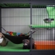 Cages for ferrets: features, selection and creation