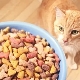 Premium Cat Food: Components, Brands, Choice