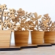 Souvenirs and gifts made of wood