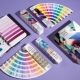 All you need to know about Pantone