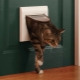Choose a door to the toilet for a cat
