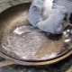 What to do if a cast-iron frying pan burns?
