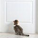 What to do so that cats do not mark the front door?