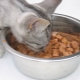 Cat bag food: what are they made of and how much to give per day?