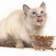 Holostica feed for sterilized cats