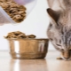 Can cats be given dog food?