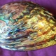 Mother of Pearl: what it is, properties and colors