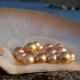 River pearls: features, properties and differences from marine