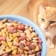 Comparison of cat food: classes, compositions, brands