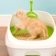 Tools for teaching a kitten to a tray