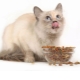 Dry food for sterilized cats: properties, manufacturers, choice and diet