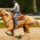 Types of horse gallop and riding rules